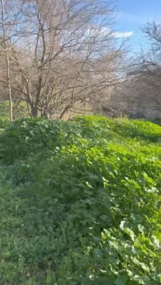 Satılır torpaq 30 sot — Torpaq, Bakı (4)