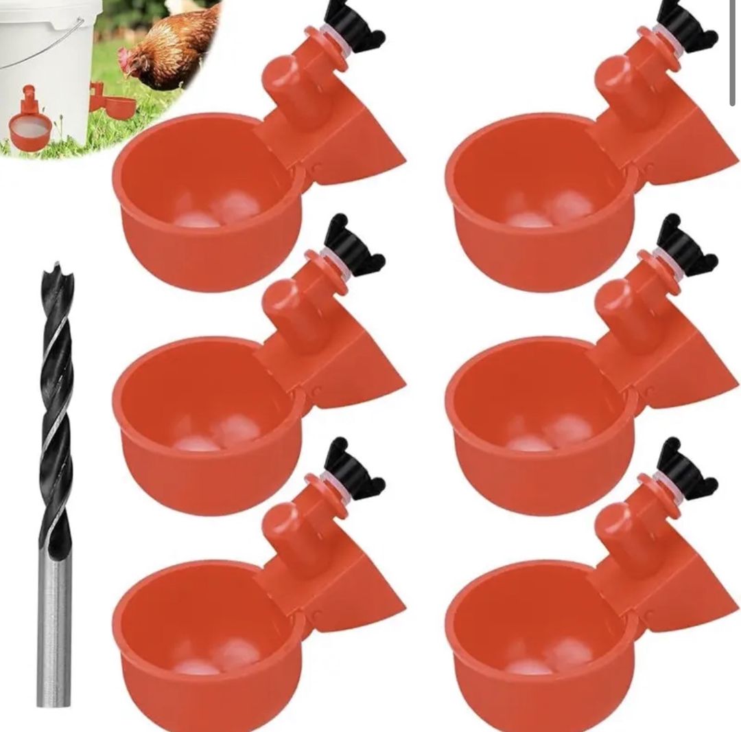 Quşlar üçün yem təknəsi 0587 — Mallar, Bakı (3)