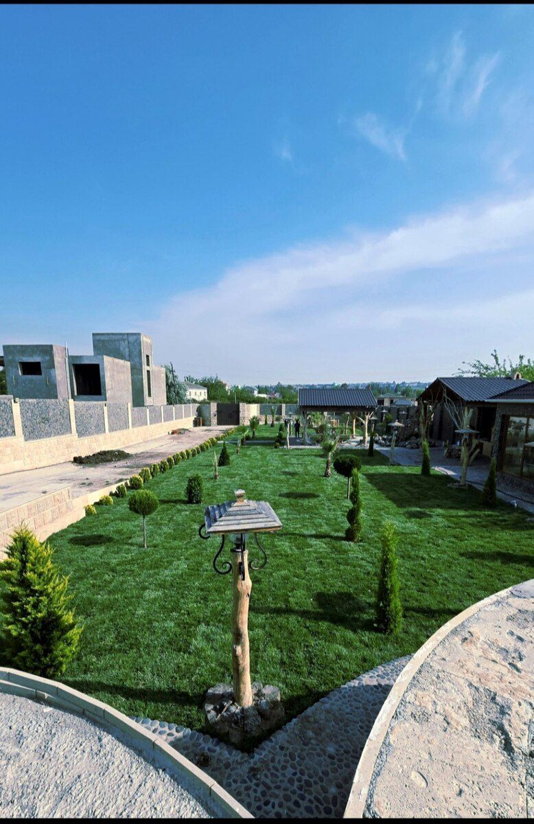 Qazon — Bitkilər, Bakı (11)