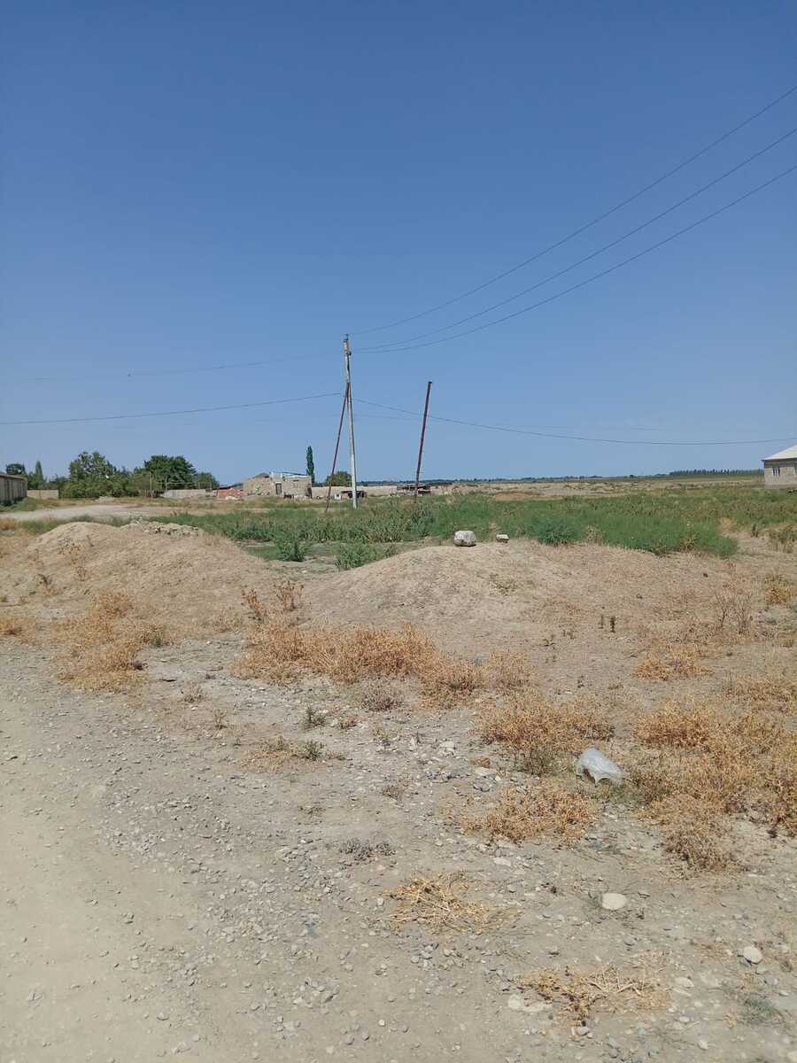 41 sot torpaq sahəsi, Şabran r — Torpaq, Şabran (7)