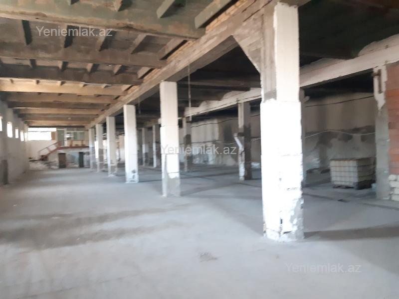Kirayə 1 otaqlı Obyekt, 1600 m², Hökməli — Əmlak, Abşeron (2)