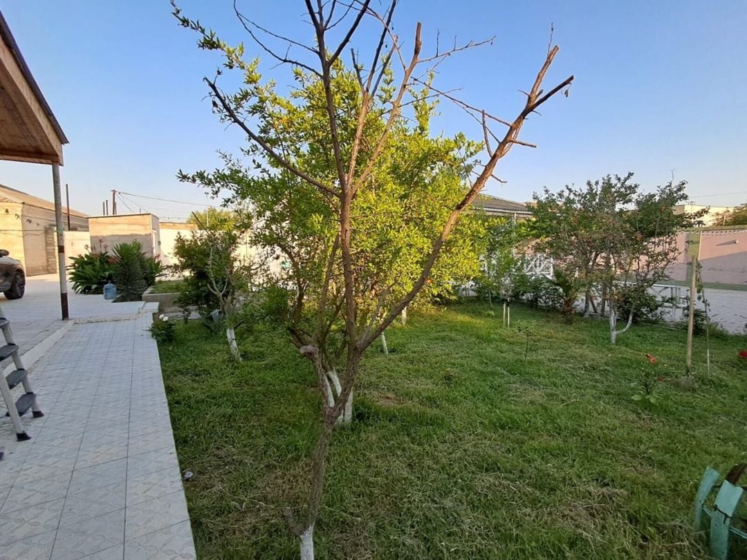 Satılır 5 otaqlı həyət evi/bağ evi 130 m² — Ev, villa, Bakı (5)