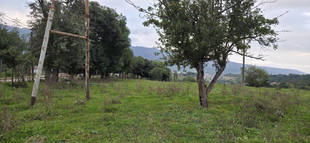 10 sot torpaq sahəsi, Qusar r — Torpaq, Qusar (5)