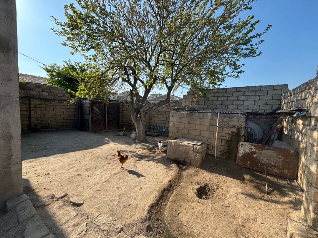 Həyət evi, Fatmayı qəs — Ev, villa, Bakı (5)
