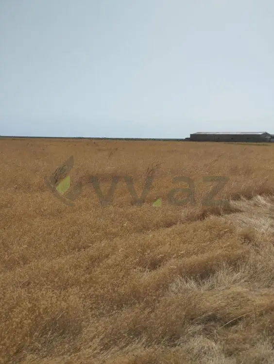 450 sot Torpaq Satılır, Xızı — Xızı