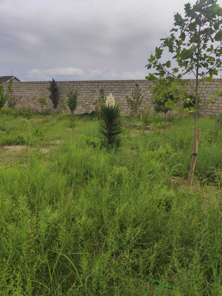 Satılır torpaq 15 sot — Torpaq, Bakı