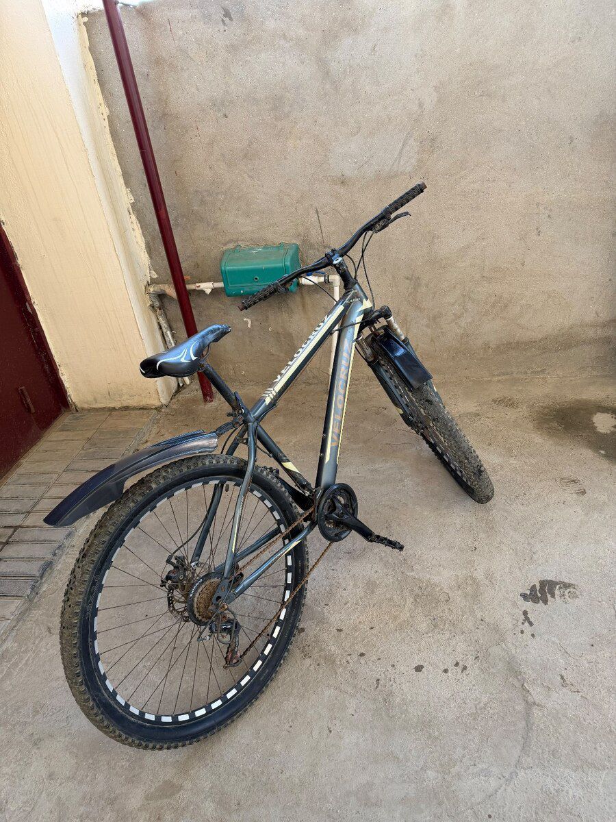 Velosiped Velocruz — Velosipedlər, Bakı (3)