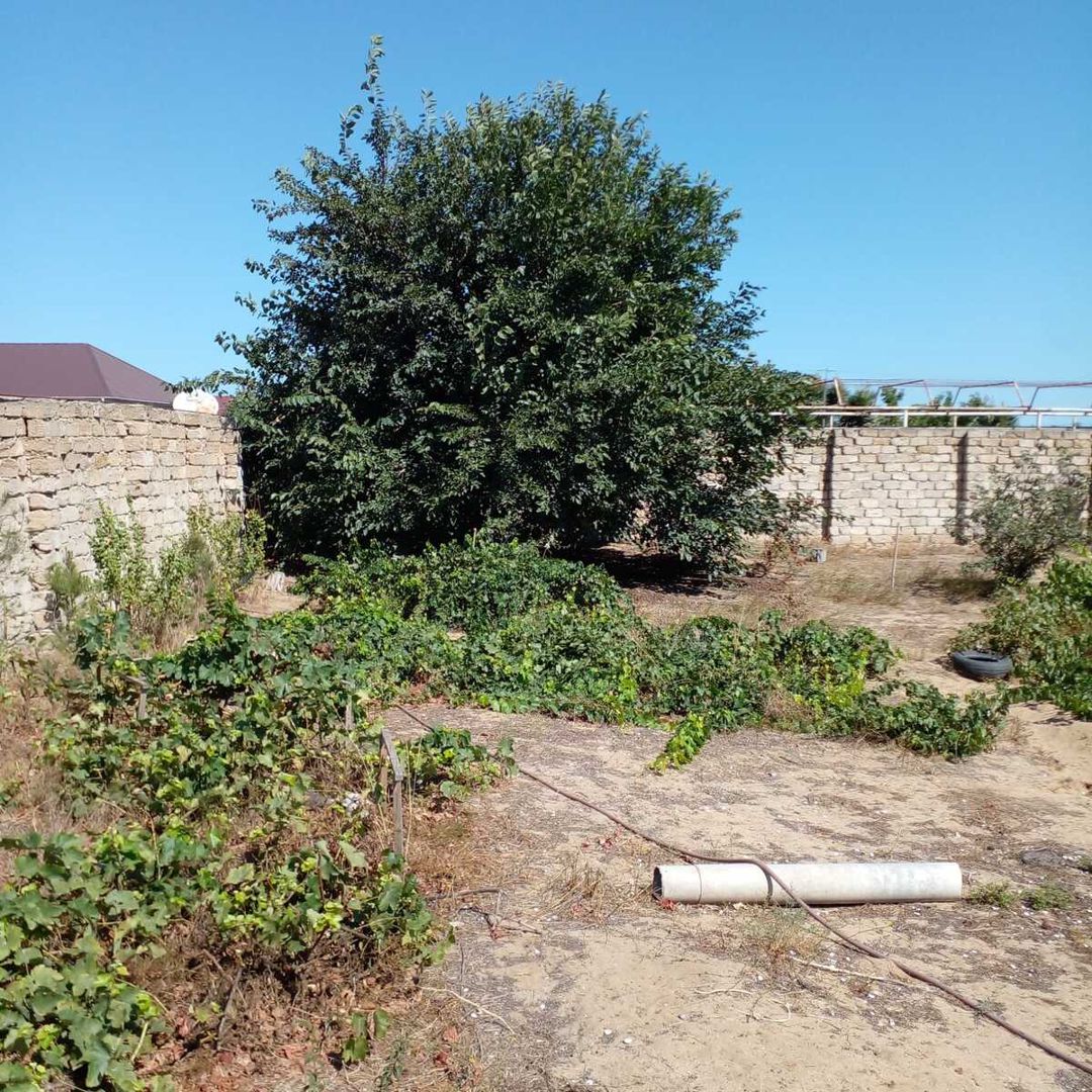 Satılır torpaq 14 sot — Torpaq, Bakı (8)