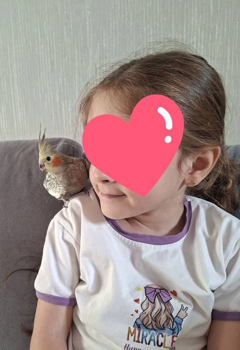 Oz qusumun balasidi.Tam el quslaridi.Iki denedi uc ayligdilar — Баку