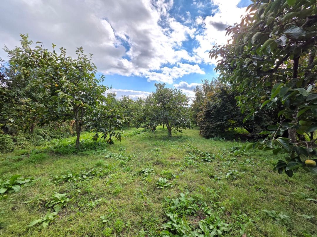 Satılır torpaq 40 sot — Torpaq, Göyçay (3)
