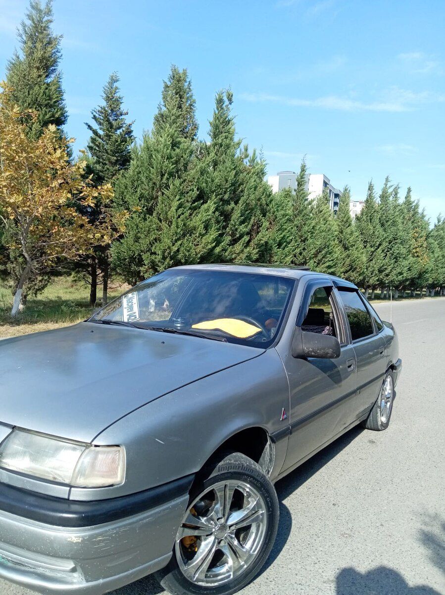 Opel Vectra, 1993 il 20-CH-306 — Avtomobillər, Bakı (6)