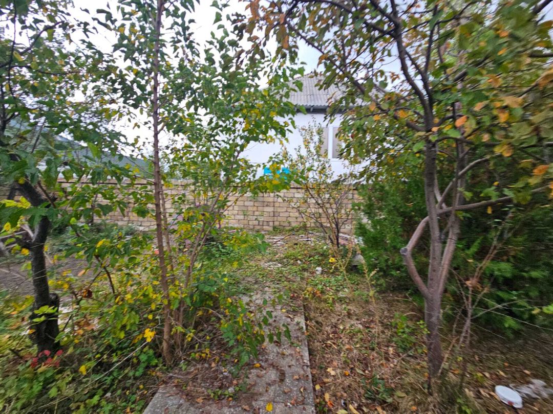 Satılır torpaq 4 sot — Torpaq, Qəbələ (2)