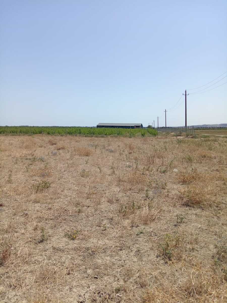 41 sot torpaq sahəsi, Şabran r — Torpaq, Şabran (3)