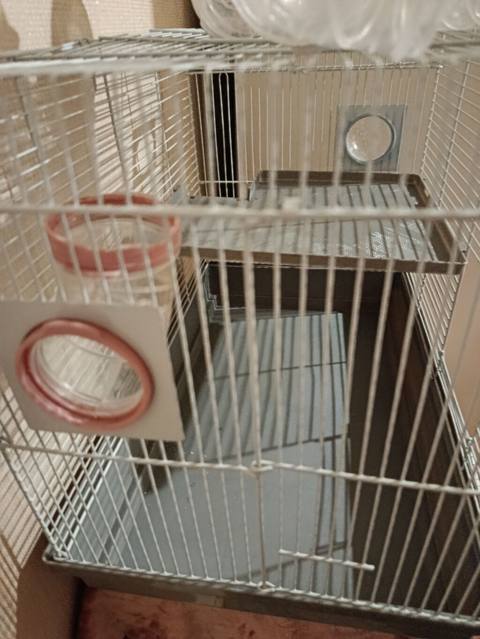 Hamster/qəbilə gəmiricilər üçün qəfəs və tunel dəsti - Metallik — 50 ₼ · Bakı · Qəfəslər Hamster/qəbilə gəmiricilər üçün qəfəs və tunel dəsti - Metallik — Bakı
