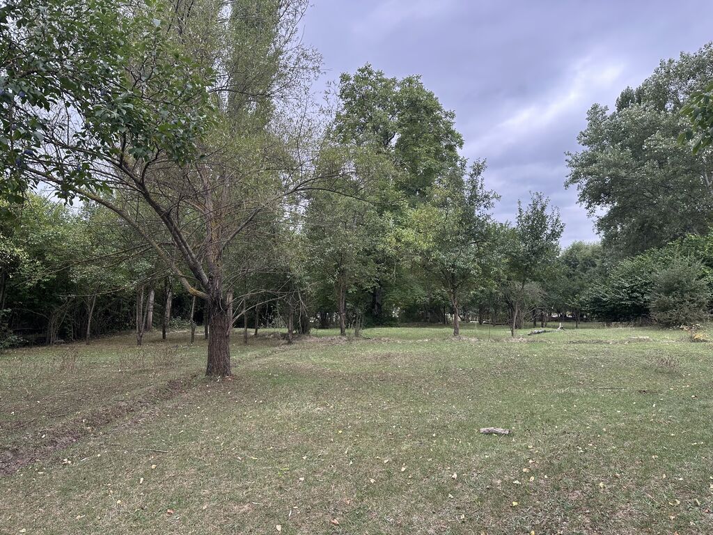 28 sot, Biznes üçün, Mülkiyyətçi, Kupça (Çıxarış) — Torpaq, Xırdalan (2)