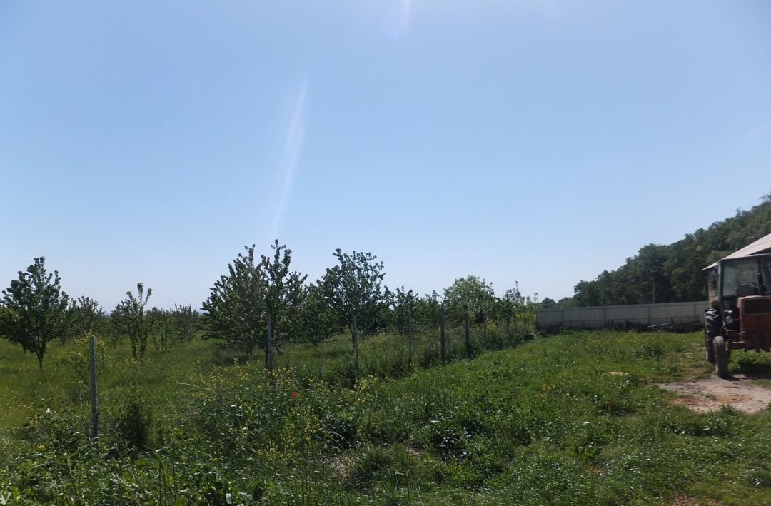 Satılır torpaq 300 sot — Torpaq, Quba (6)
