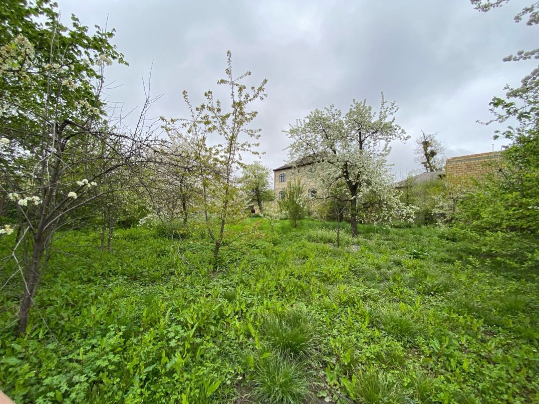 24 sot torpaq sahəsi, Alekseyevka kəndi — Torpaq, Quba (3)