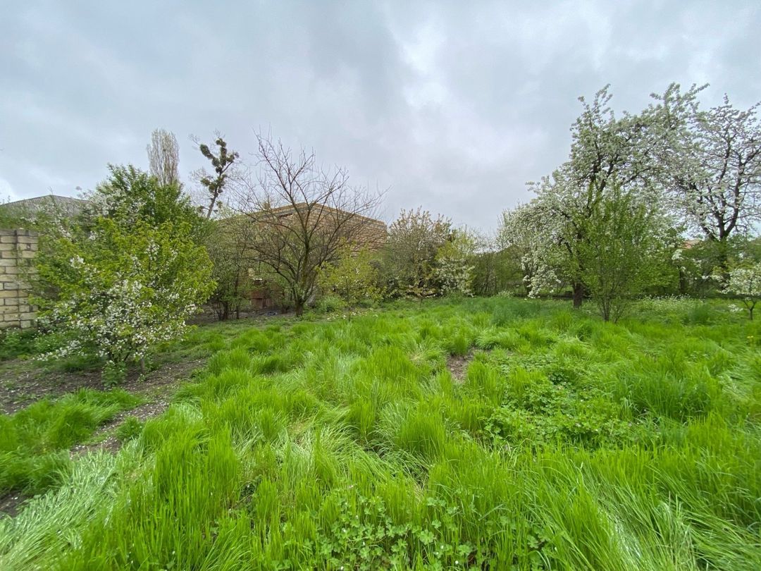 24 sot torpaq sahəsi, Alekseyevka kəndi — Torpaq, Quba (6)