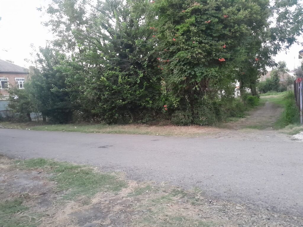 Satılır geniş həyəti var iki lərtəbə köhnə tikili var bağı var əlavə — Ev, villa, Masallı (4)