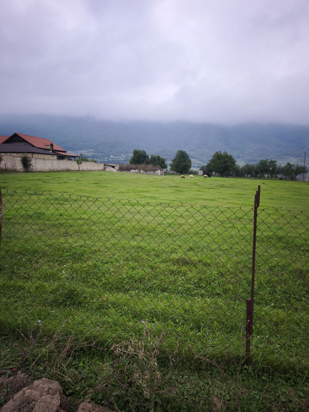 17 sot, Kənd təsərrüfatı, Mülkiyyətçi, Kupça (Çıxarış) — Torpaq, Qusar (2)