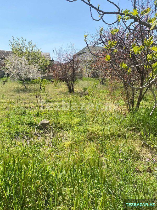 Saray qəsəbəsi, M.Ələkbərov küçəsi — Torpaq, Bakı (2)