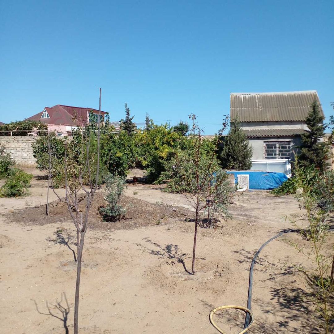 Satılır torpaq 14 sot — Torpaq, Bakı (5)
