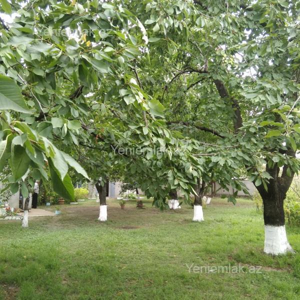 Günlük 2 otaqlı Həyət evi / Villa, 40 m², Quba — Ev, villa, Quba (2)