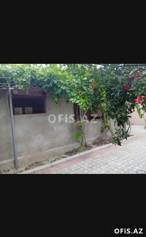 Həyət evləri Satılır Sabunçu r., Zabrat q., 3 otaq, 100 m² — Ev, villa, Bakı (4)