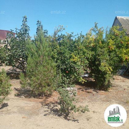 Satılır 14 sot torpaq Qala — Torpaq (7)