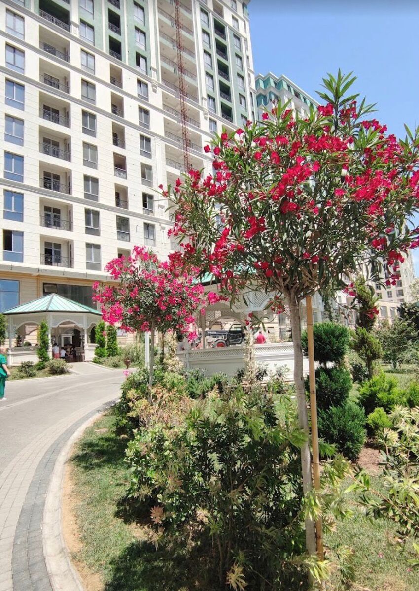 Satılır 4 otaqlı yeni tikili 177.9 m² — Mənzil, Bakı (2)