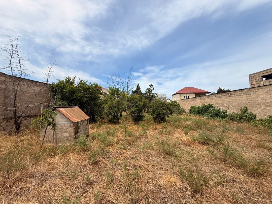 Satılır torpaq 11 sot — Torpaq, Bakı (2)