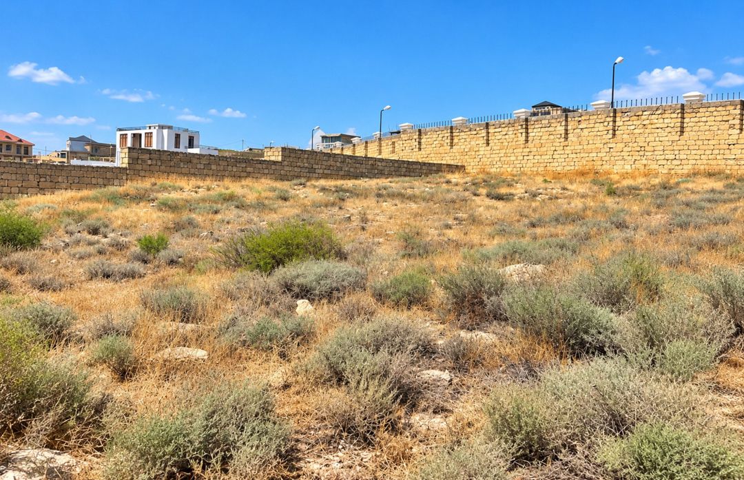 Satılır torpaq 9 sot — Torpaq, Bakı (3)