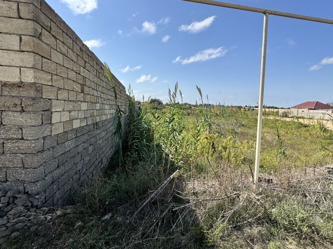 12 sot torpaq sahəsi, Ləhic bağları — Torpaq, Bakı (3)