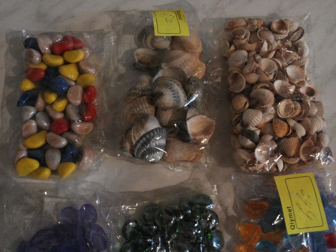 Balıqqulaqları — Akvariumlar və balıqlar, Bakı (2)