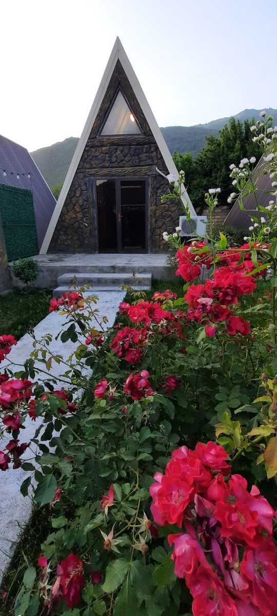 Həyət evi kirayə verilir, Qax r — Ev, villa, Qax (3)