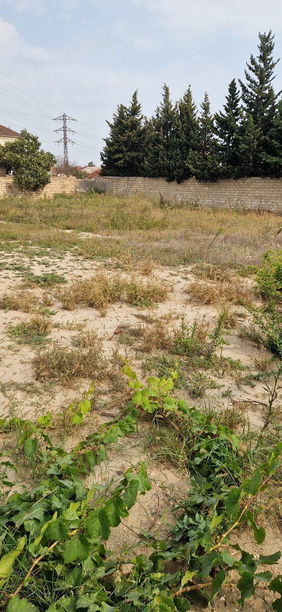 12 sot torpaq sahəsi, Savalan qəs — Torpaq, Bakı (6)
