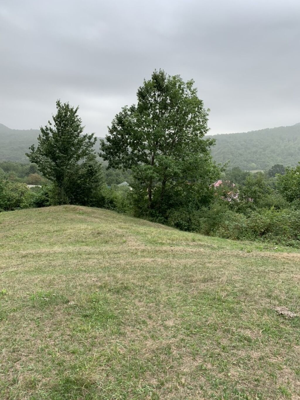 Kənd təsərrüfatı — Torpaq, Bakı (2)