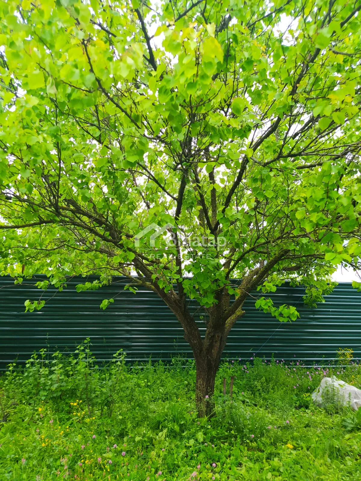 Satılır 2 otaqlı həyət evi / bağ evi 70 m², Qəbələ rayonu — Ev, villa, Bakı (2)