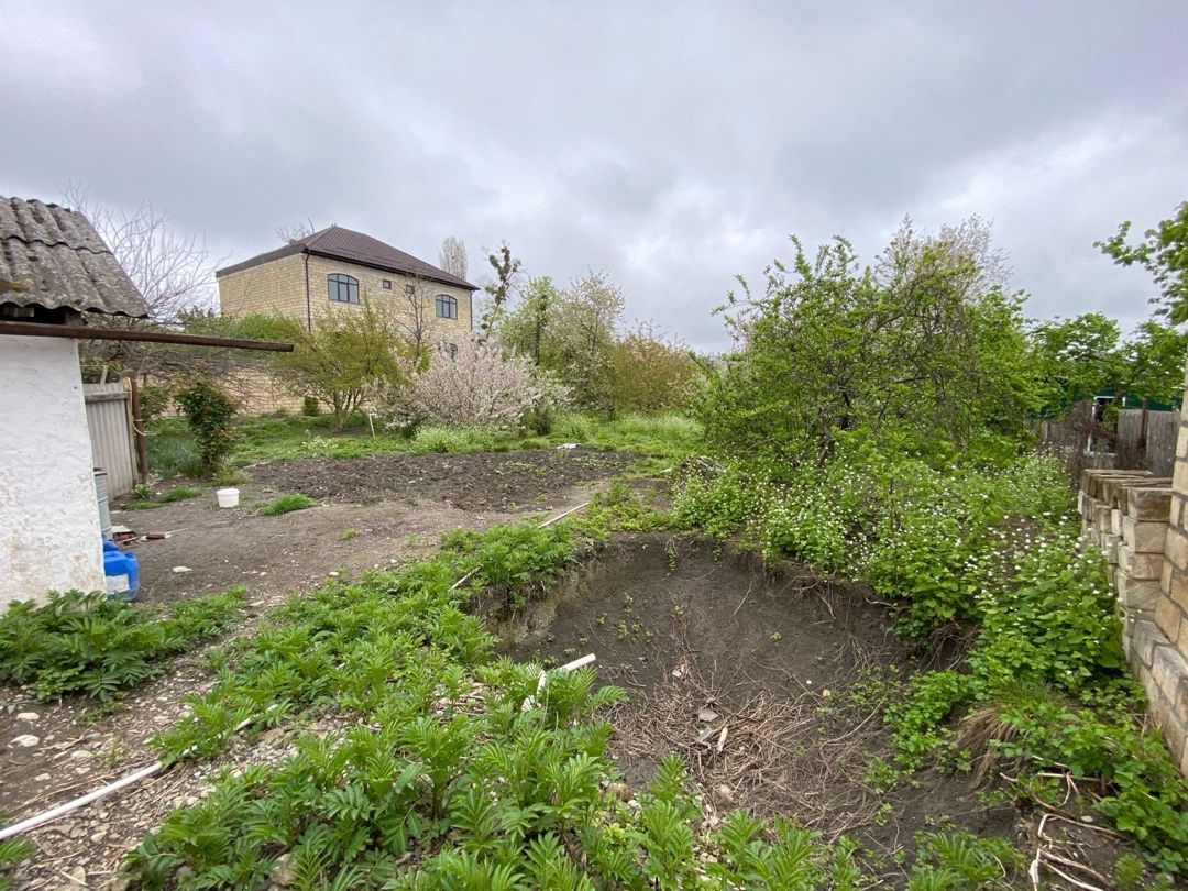 24 sot torpaq sahəsi, Alekseyevka kəndi — Torpaq, Quba (8)