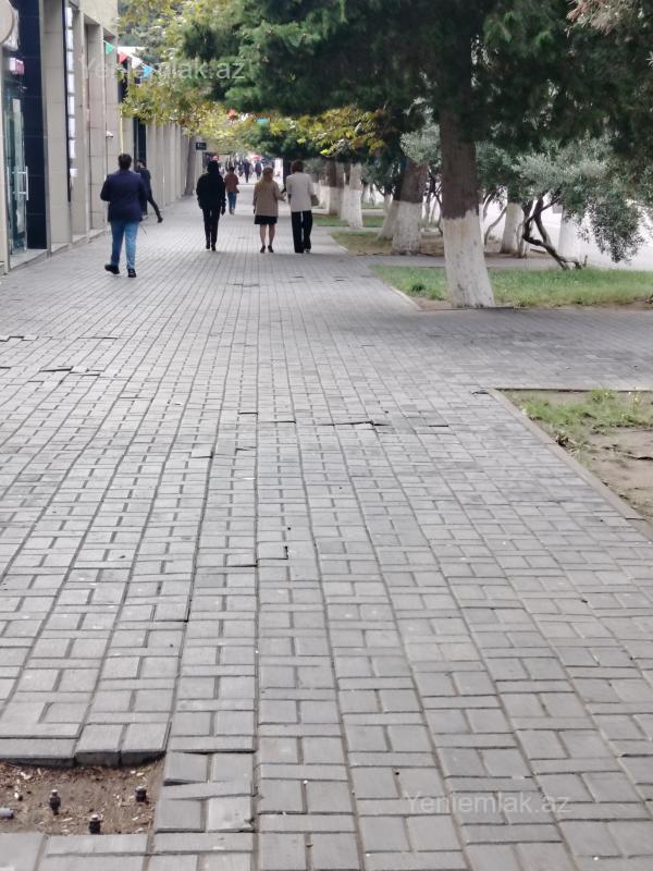 Kirayə 2 otaqlı Obyekt, 100 m², 1-ci mikrorayon — Əmlak, Sumqayıt (3)