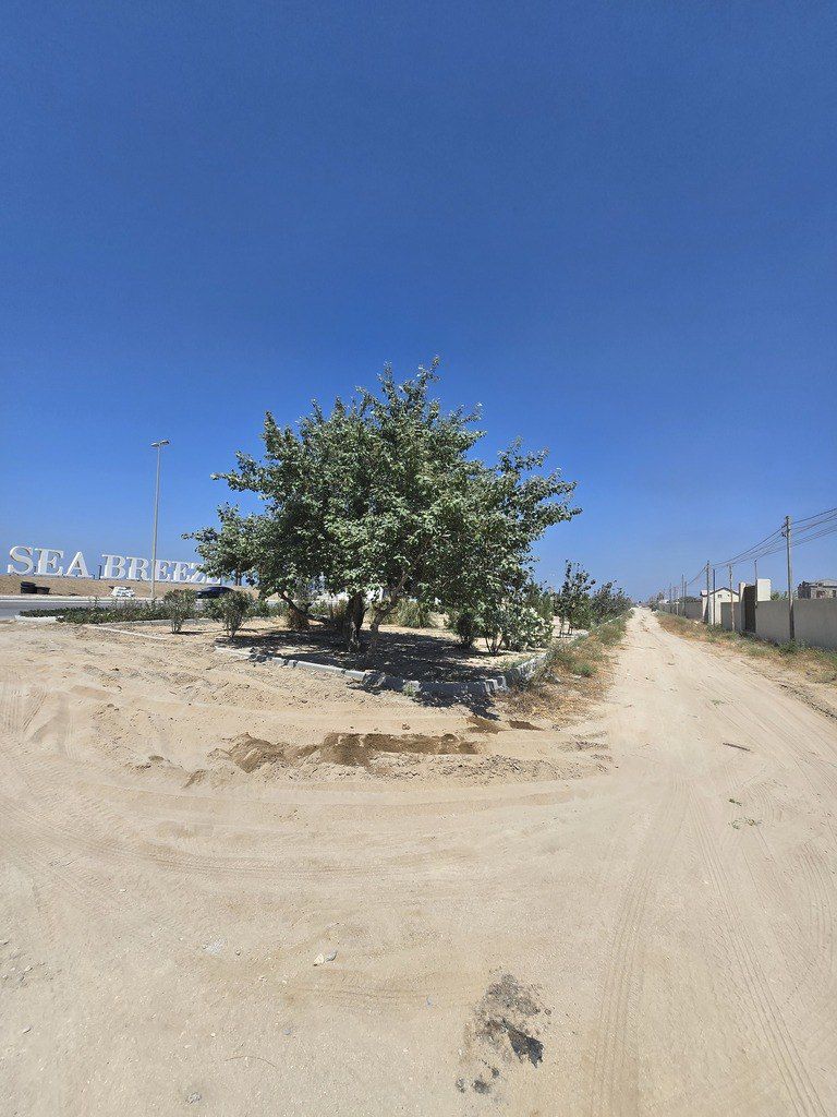 Satılır torpaq 25 sot — Torpaq, Bakı (7)