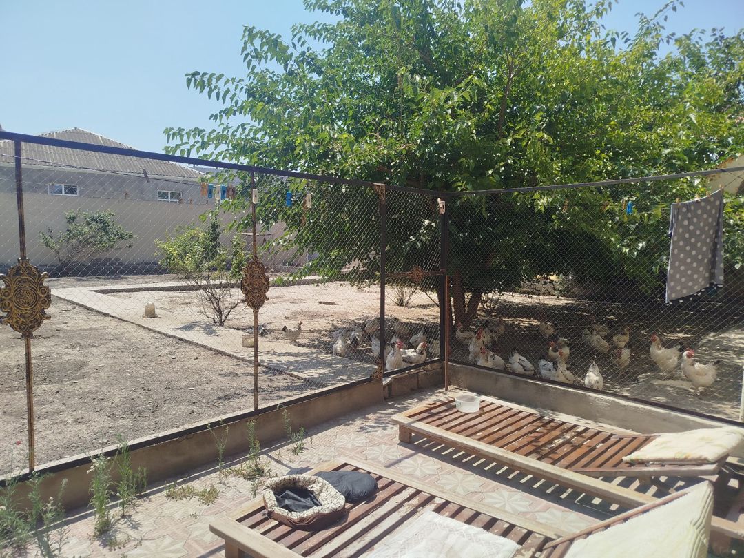 4.60 sot torpaq sahəsi, Mərdəkan qəs — Torpaq, Bakı (2)