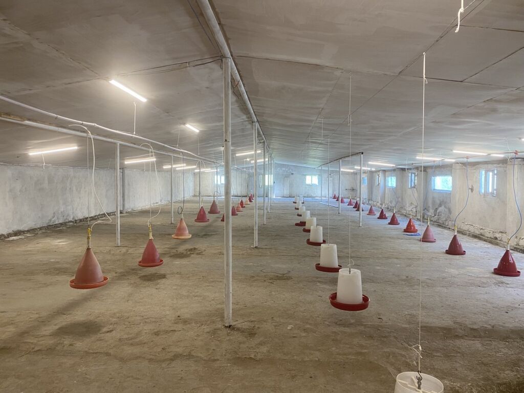 Toyuq ferması icarəyə verilir 8000-dən çox tutuma malikdir 550 kvm-dir — Kənd təsərrüfatı avadanlığı, Sanqaçal (3)