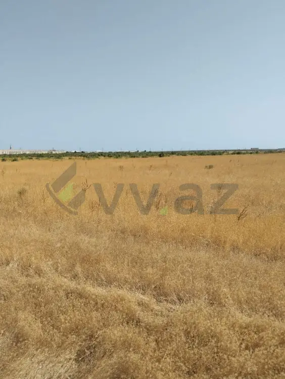 450 sot Torpaq Satılır, Xızı — Torpaq, Xızı (3)