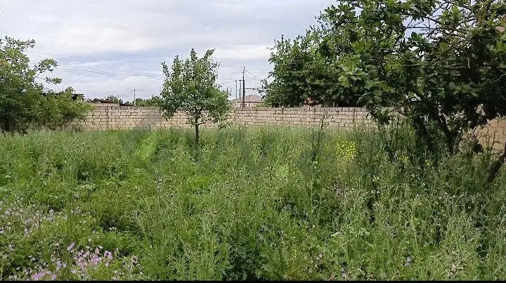 5 sot Torpaq Satılır, Quba — Torpaq, Quba (2)