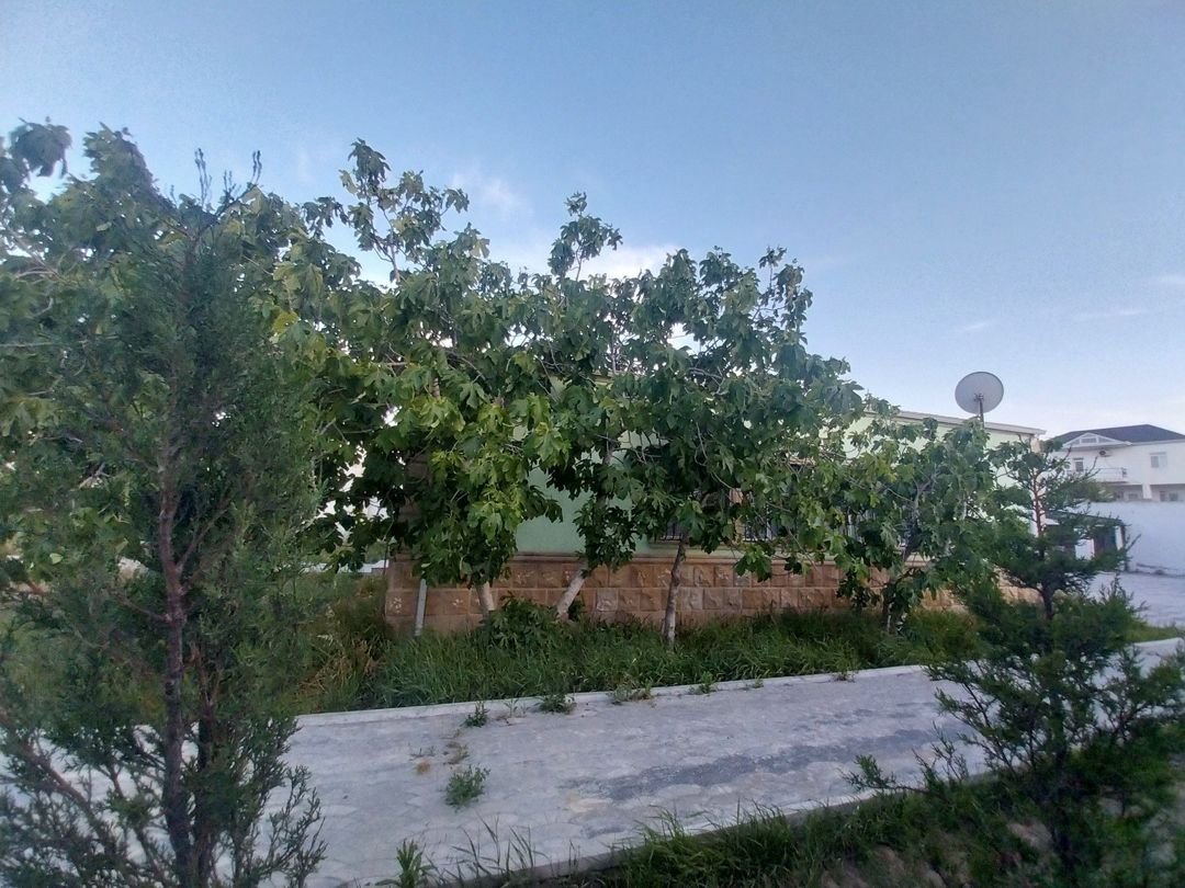 İcarəyə verilir 4 otaqlı həyət evi/bağ evi 120 m² — Ev, villa, Bakı (4)
