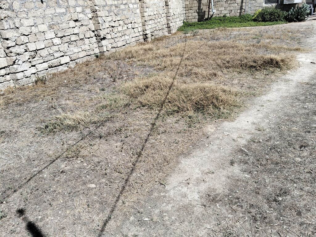 3 sot, Tikinti, Mülkiyyətçi — Torpaq, Digah (4)