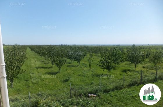Satılır 300 sot torpaq Quba — Torpaq (6)