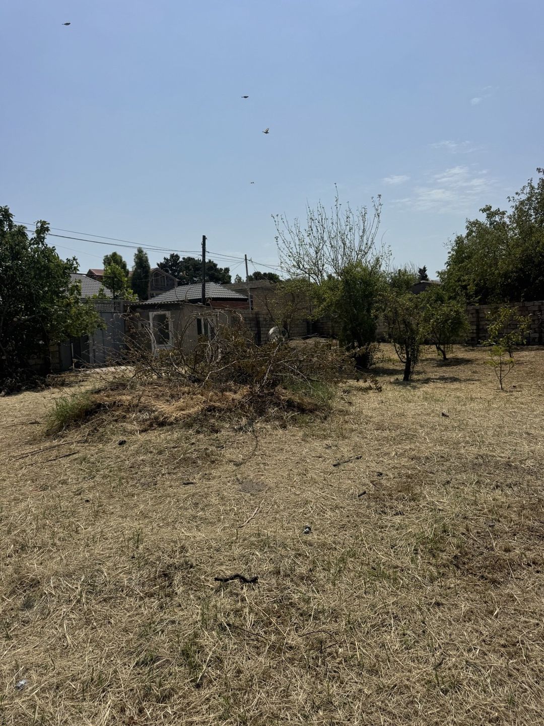 Satılır torpaq 3 sot — Torpaq, Bakı (4)