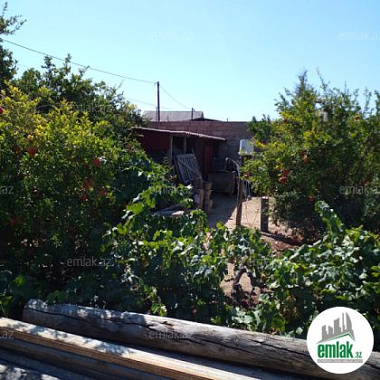 Satılır 14 sot torpaq Qala — Torpaq (2)